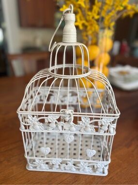 French Vintage Style Metal Birdcage Accent Decor Plant Hearts